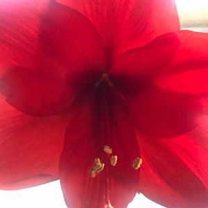 Meet your Posher, Terry